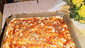 Rychlá pizza(nejen pro Vaška)