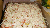 Rychlá pizza(nejen pro Vaška)