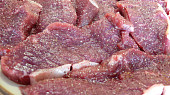 Znojemská roštěná