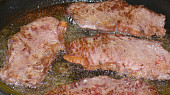 Znojemská roštěná