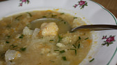 Zeleninová polévka