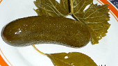 Kvašáky II.