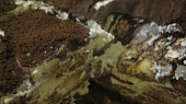 Tiramisu po česku (zdůrazňuju:D)