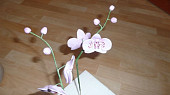 Orchidej