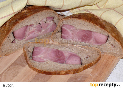 Plecovník