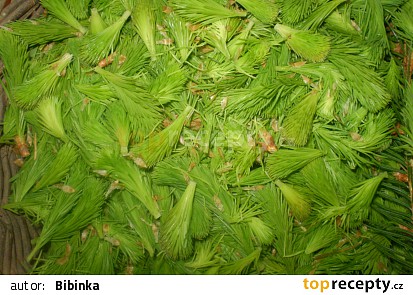 Sirup ze smrkovch vhonk (pro Janinu)
