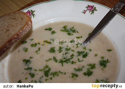 Panádlová - chlebová polévka mojej mamky