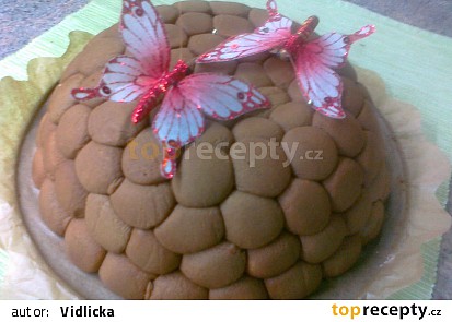 Tiramisí želva