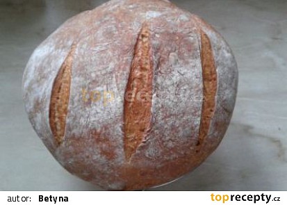 http://www.toprecepty.cz/fotky_nahled/0066/chleb-s-p%C3%A2te-fermentee-157864.jpg