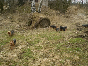018_434669521.jpg