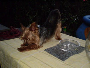 044_380109571.jpg