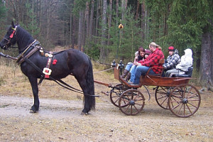 100_3584.jpg