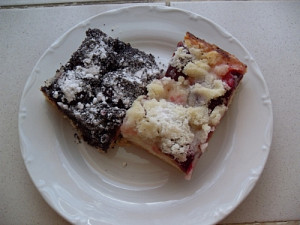 2011-_09_-_4__svestkovy_kolac_003.jpg