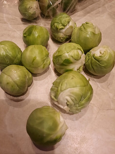 20241212_162132.jpg