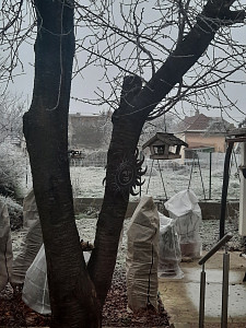 20250101_080453.jpg