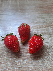 20250522_113108.jpg