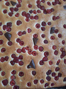 20260626_101430.jpg