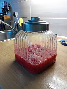 20260711_191713.jpg