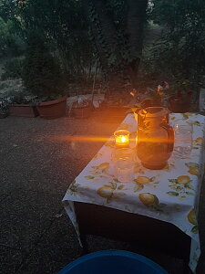 20260730_205357.jpg