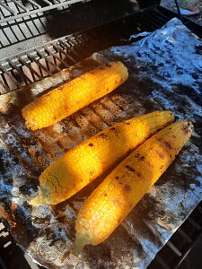 20260809_161605.jpg