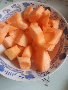 20260825_124910.jpg