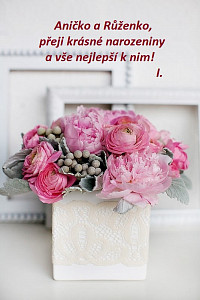 3d3c69c99204be5cc63cb0fb3a979d30_–_kopie_(3).jpg