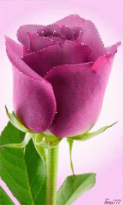 5108e43b83c2611dbc051f6d72f24e0c.jpg_1215180461.gif
