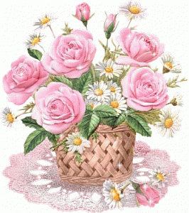 972559cscdell87l_1122130327.gif