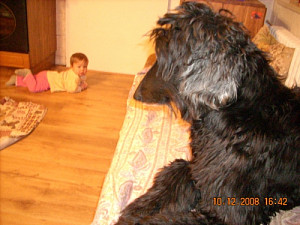aa_001.jpg