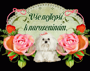 animace-narozeninyv-4.gif