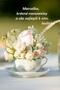 b66550ca2af3b267d34eefc1ebcd4daa.jpg