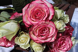 bouquet-of-roses-1246467__180.jpg