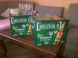 breznak_1.jpg