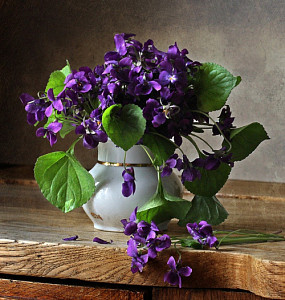 c__data_users_defapps_windows_phone_appdata_internetexplorer_temp_saved_images_7417683ab10a7ad785758ff8e73905e6(1).jpg