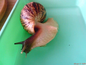 dsc00008_840761247.jpg