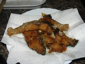 dsc01493.jpg