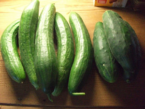 dscf1605.jpg