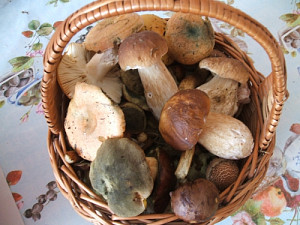 dscf3513.jpg