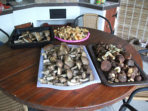 dscf9550.jpg