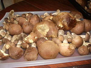 dscf9551.jpg