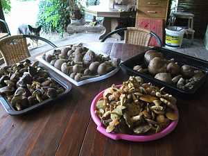 dscf9555.jpg