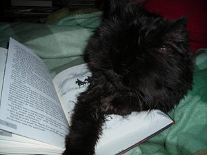 dscn2558.jpg