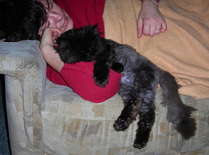 dscn2578.jpg