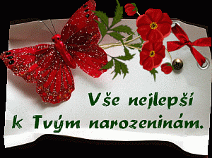 gif-narozeniny-52020_300301963.gif