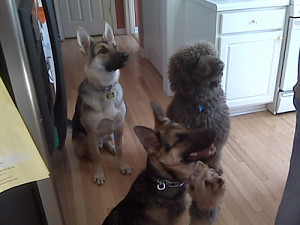img00599.jpg
