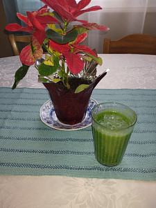 img_20250107_115707404.jpg