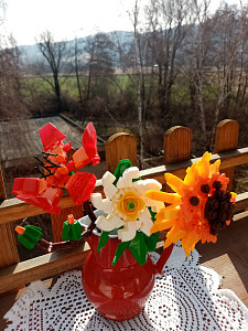 img_20250308_091754.jpg