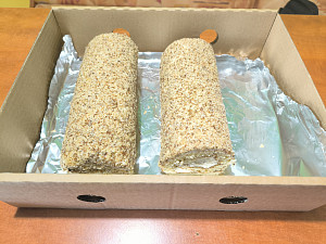 img_20250928_115844.jpg