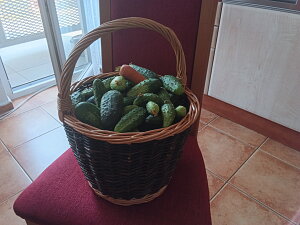 img_20260731_073236.jpg