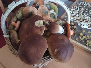 img_20260917_112715.jpg